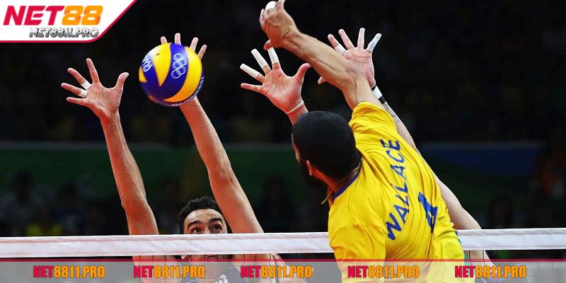 Cá Cược Bóng Chuyền NET88 - Nắm Vững Chiến Thuật Thắng Lớn 2 Khái quát vài nét về cá cược bóng chuyền